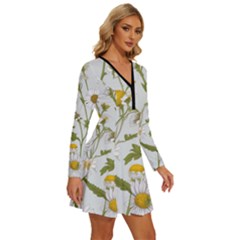 Long Sleeve Deep V Mini Dress  