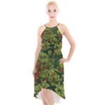 Redwood & Moss High-Low Halter Chiffon Dress 