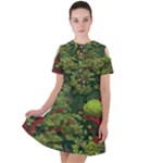 Redwood & Moss Short Sleeve Shoulder Cut Out Dress 