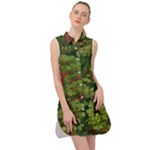 Redwood & Moss Sleeveless Shirt Dress