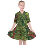 Redwood & Moss Kids  All Frills Chiffon Dress