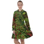 Redwood & Moss All Frills Chiffon Dress