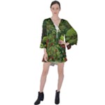 Redwood & Moss V-Neck Flare Sleeve Mini Dress