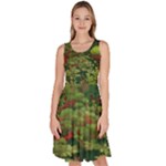 Redwood & Moss Knee Length Skater Dress With Pockets