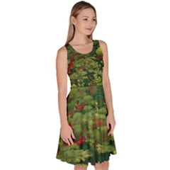 Knee Length Skater Dress With Pockets 