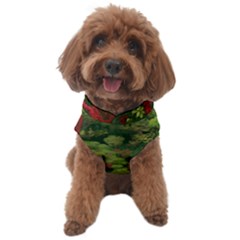 Dog Sweater 