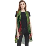 Redwood & Moss Sleeveless Chiffon Waistcoat Shirt