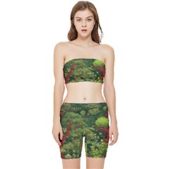 Stretch Shorts and Tube Top Set 