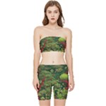 Redwood & Moss Stretch Shorts and Tube Top Set