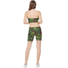 Stretch Shorts and Tube Top Set 