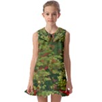 Redwood & Moss Kids  Pilgrim Collar Ruffle Hem Dress