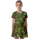 Redwood & Moss Kids  Short Sleeve Pinafore Style Dress