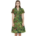 Redwood & Moss Short Sleeve Waist Detail Dress