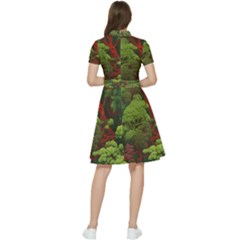 Short Sleeve Waist Detail Dress 