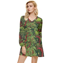 Tiered Long Sleeve Mini Dress 