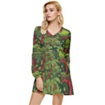 Redwood & Moss Tiered Long Sleeve Mini Dress