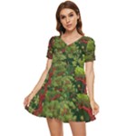 Redwood & Moss Tiered Short Sleeve Babydoll Dress