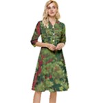 Redwood & Moss Classy Knee Length Dress