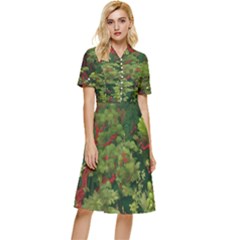 Button Top Knee Length Dress 
