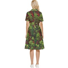 Button Top Knee Length Dress 