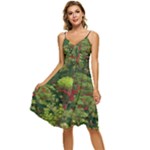 Redwood & Moss Sleeveless Tie Front Chiffon Dress