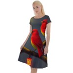 Red Breasted Birds Classic Short Sleeve Dress