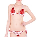 Cute Gift Boxes Classic Bikini Set