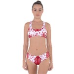 Cute Gift Boxes Criss Cross Bikini Set