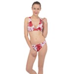 Cute Gift Boxes Classic Banded Bikini Set 