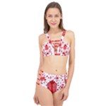 Cute Gift Boxes Cage Up Bikini Set