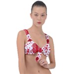 Cute Gift Boxes Front Tie Bikini Top