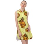 I Wish You All The Gifts Sleeveless Shirt Dress