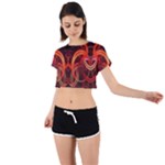 Colorful Prismatic Chromatic Tie Back Short Sleeve Crop T-Shirt