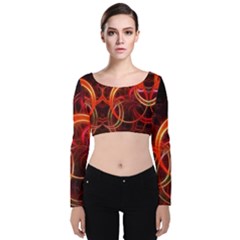 Velvet Long Sleeve Crop Top 