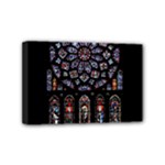 Rosette Cathedral Mini Canvas 6  x 4  (Stretched)