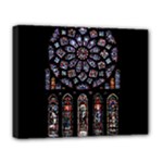 Rosette Cathedral Deluxe Canvas 20  x 16  (Stretched)