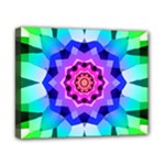 Ornament Kaleidoscope Canvas 10  x 8  (Stretched)