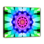 Ornament Kaleidoscope Canvas 14  x 11  (Stretched)