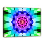 Ornament Kaleidoscope Canvas 16  x 12  (Stretched)