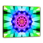 Ornament Kaleidoscope Canvas 20  x 16  (Stretched)