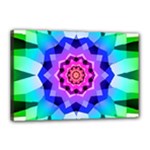 Ornament Kaleidoscope Canvas 18  x 12  (Stretched)