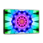 Ornament Kaleidoscope Deluxe Canvas 18  x 12  (Stretched)