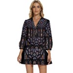 Rosette Cathedral V-Neck Placket Mini Dress