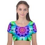 Ornament Kaleidoscope Velvet Short Sleeve Crop Top 