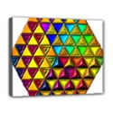 Deluxe Canvas 20  x 16  (Stretched) 