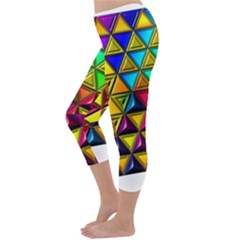 Capri Winter Leggings Back Capri Winter Leggings Back