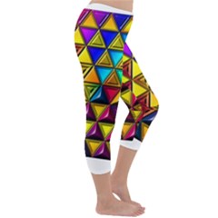 Capri Winter Leggings  