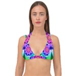 Ornament Kaleidoscope Double Strap Halter Bikini Top