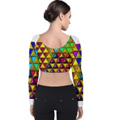 Velvet Long Sleeve Crop Top 