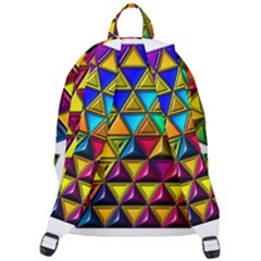 The Plain Backpack 